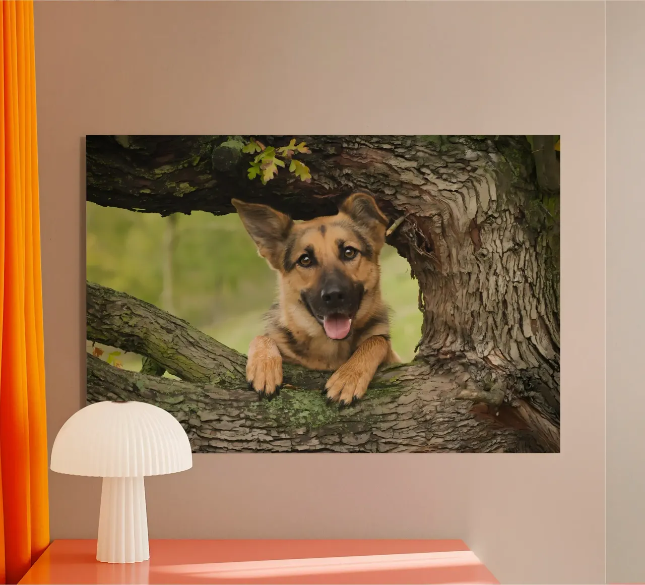 Poster animali 252 plexiglass da Korrie Lane