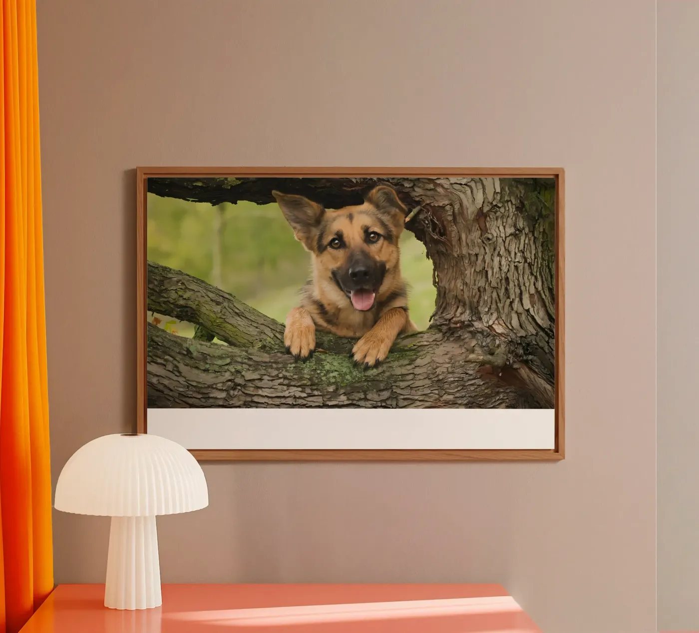 Dierenposter 252 forex-plaat van Korrie Lane