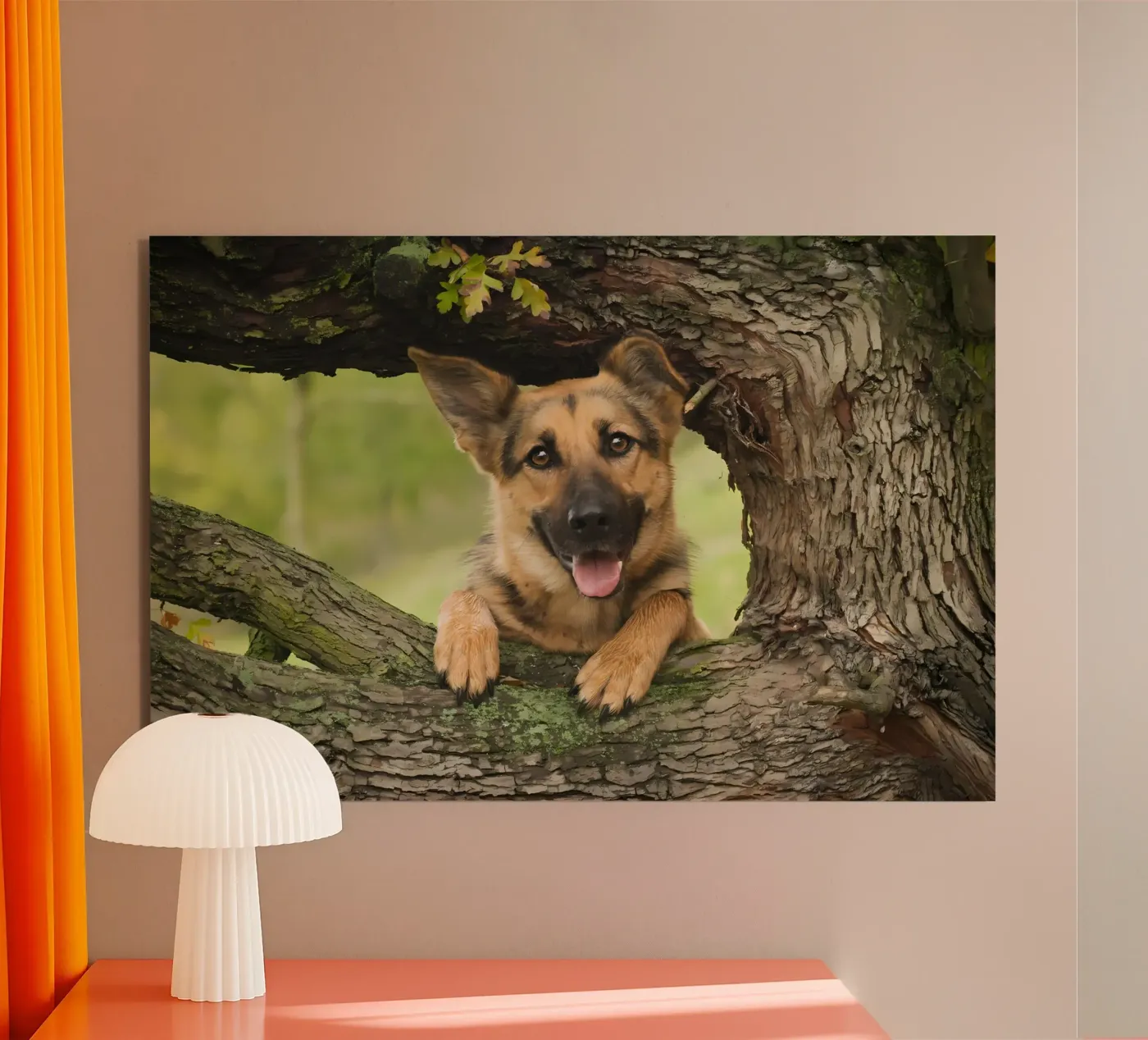 Dierenposter 252 forex-plaat van Korrie Lane