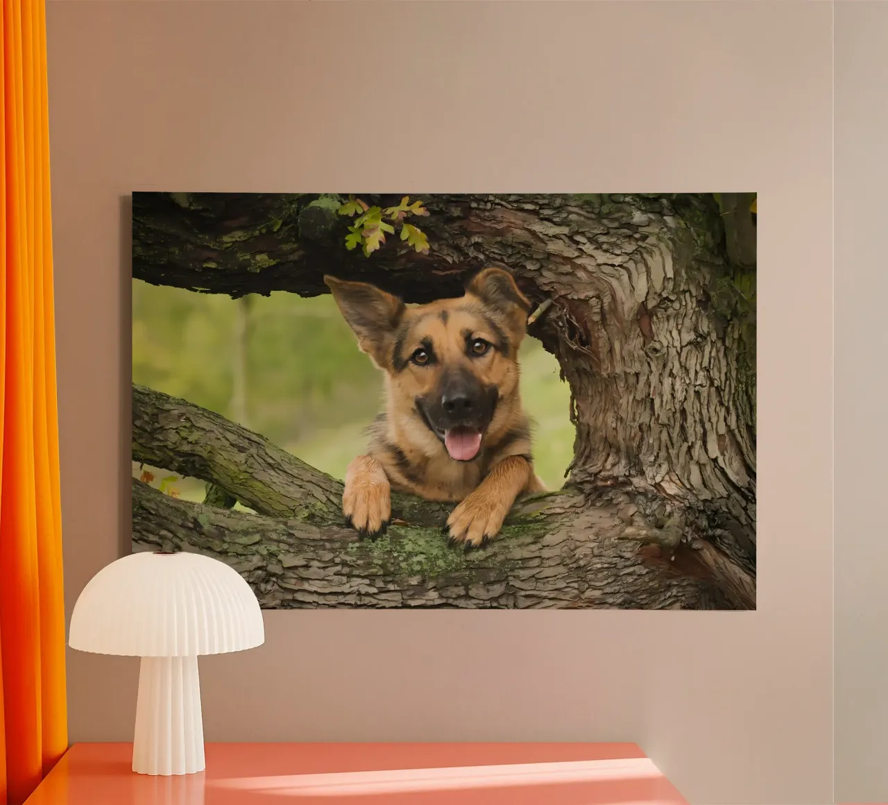 Dierenposter 252 canvas met Baklijst van Korrie Lane