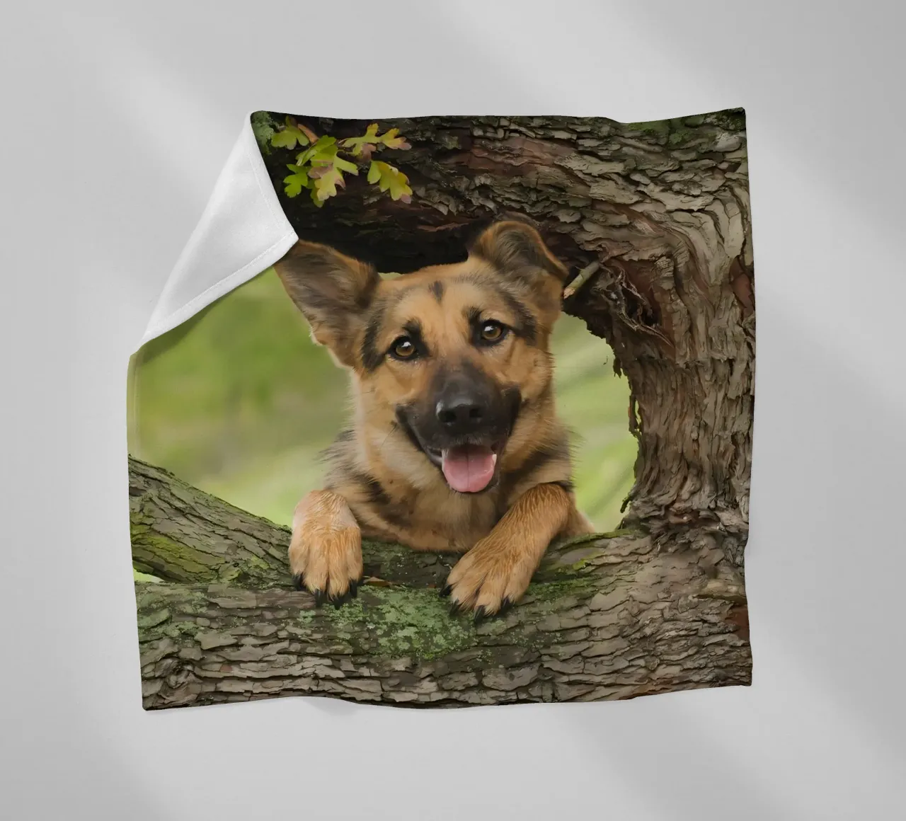 Dierenposter 252 fleecedeken van Korrie Lane