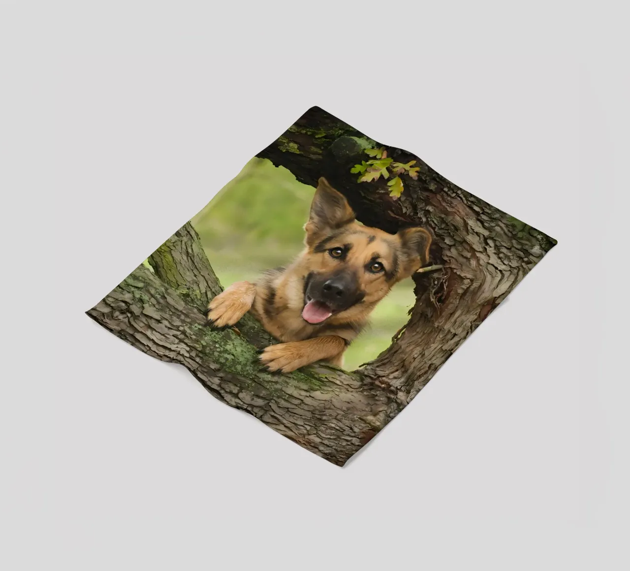 Dierenposter 252 fleecedeken van Korrie Lane