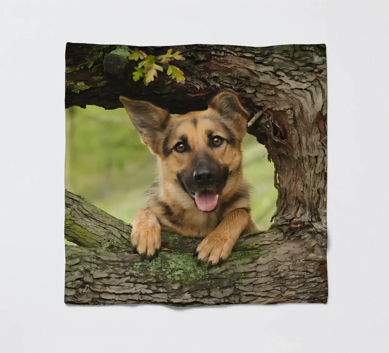 Dierenposter 252 fleecedeken van Korrie Lane