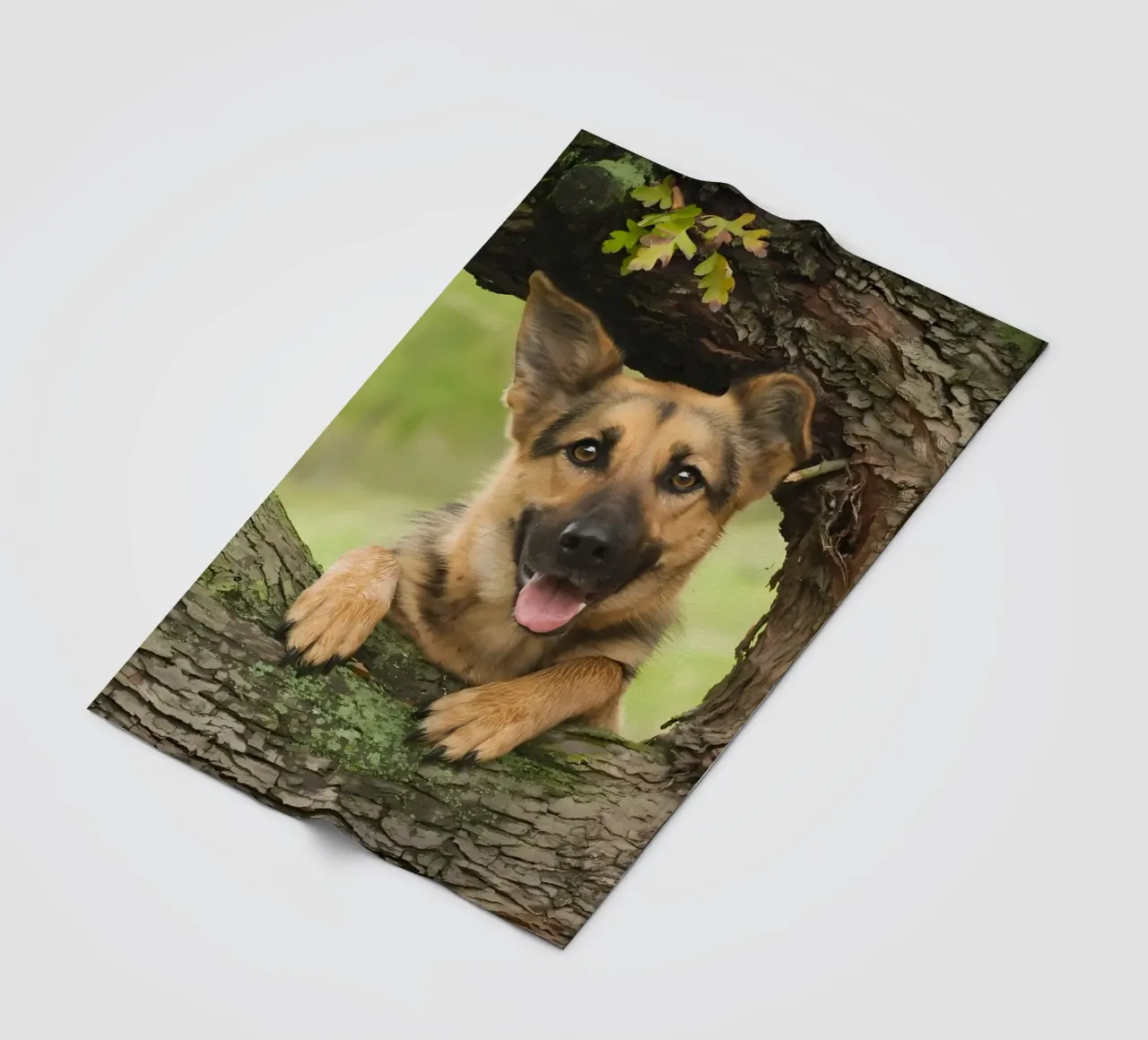 Dierenposter 252 fleecedeken van Korrie Lane