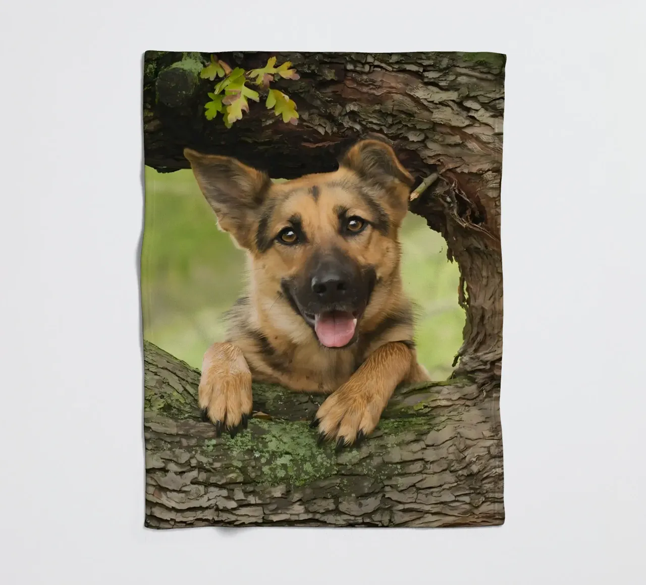 Dierenposter 252 fleecedeken van Korrie Lane