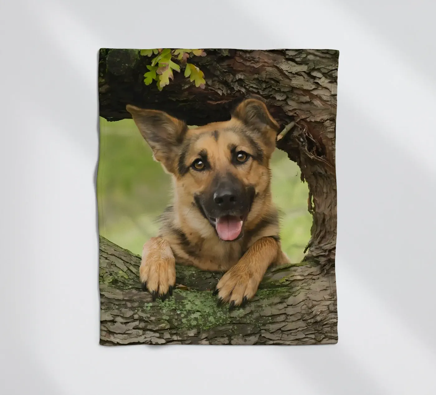 Dierenposter 252 fleecedeken van Korrie Lane