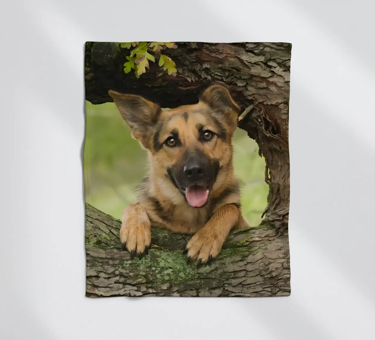 Dierenposter 252 fleecedeken van Korrie Lane