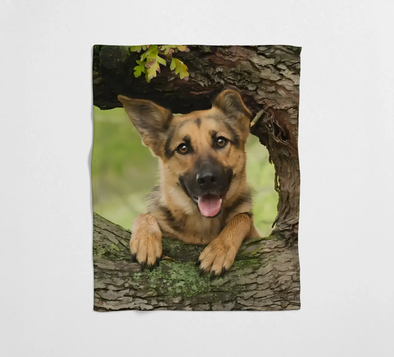 Dierenposter 252 fleecedeken van Korrie Lane