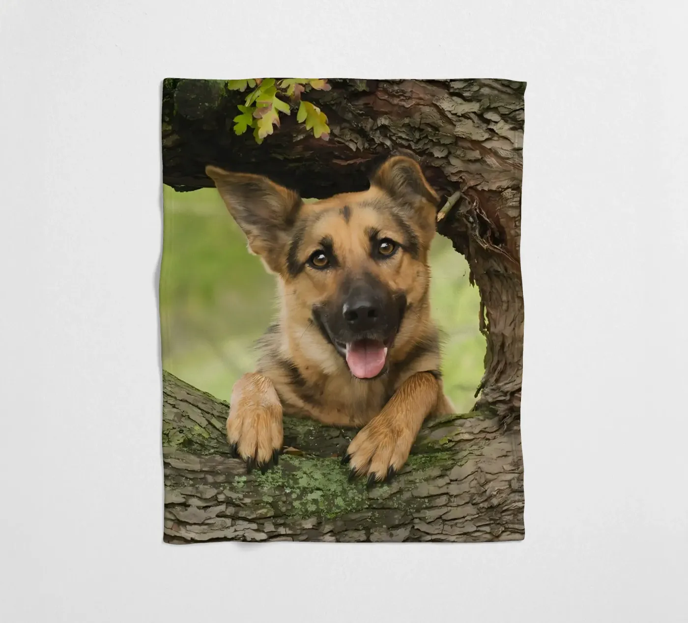 Dierenposter 252 fleecedeken van Korrie Lane