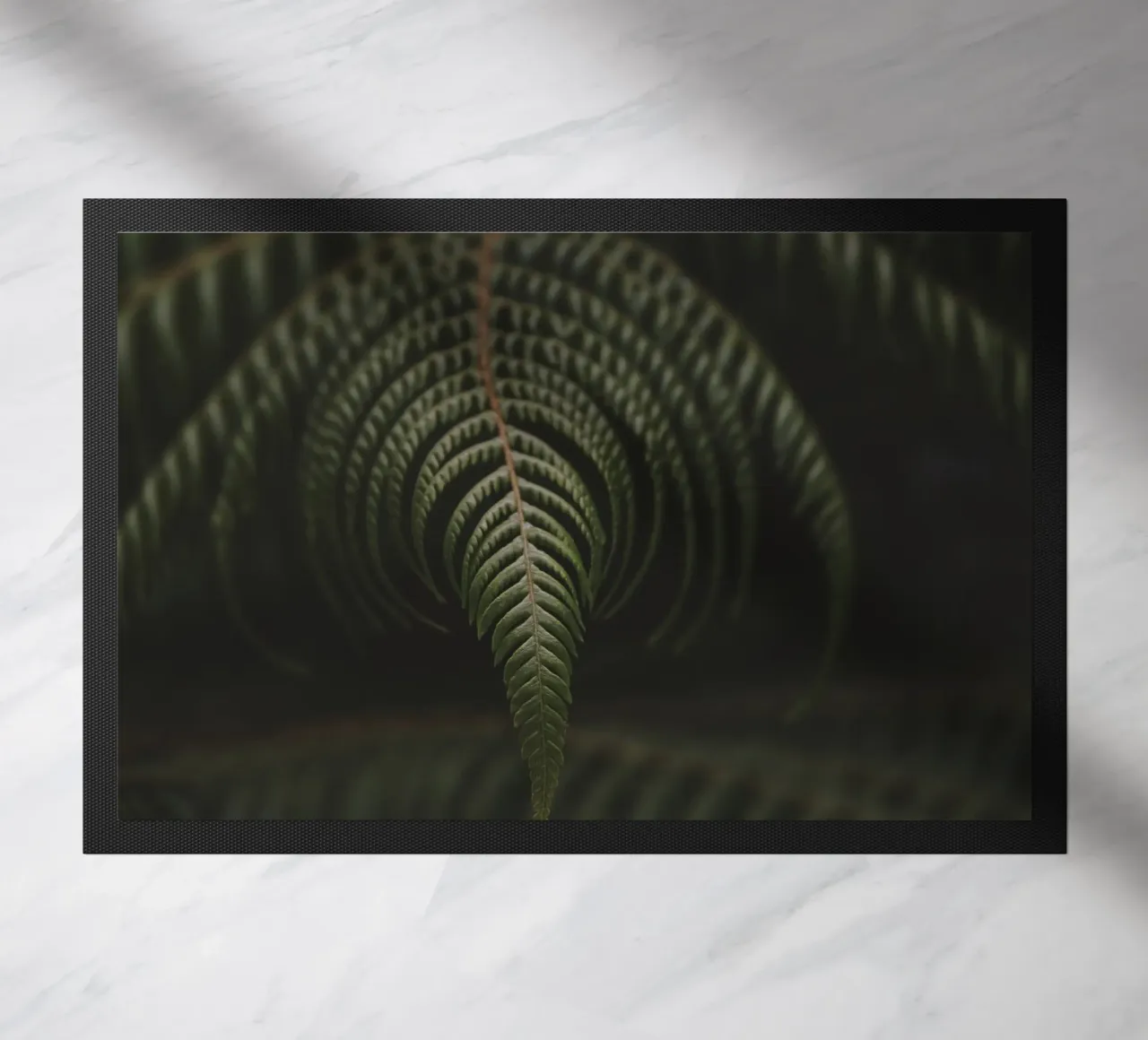 Fern 2 zerbino da Nur Mut