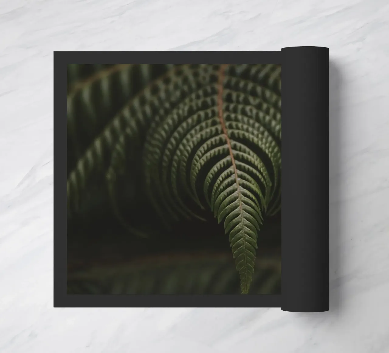 Fern 2 zerbino da Nur Mut