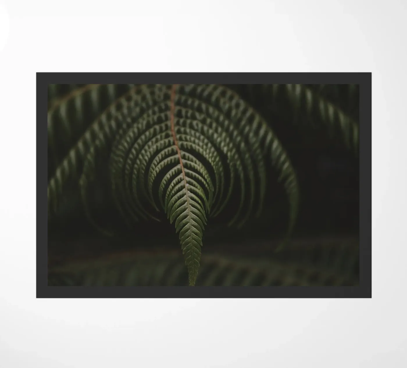 Fern 2 doormat by Nur Mut