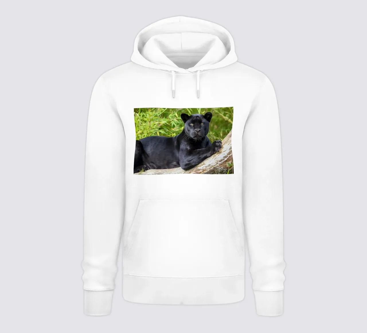 Animal poster 280 hoodie by Korrie Lane