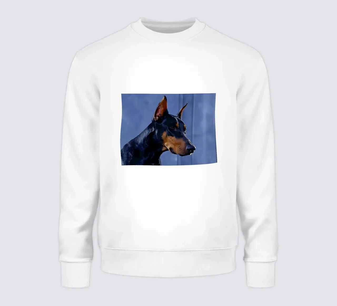 Animal poster 281 sweatshirt by Korrie Lane