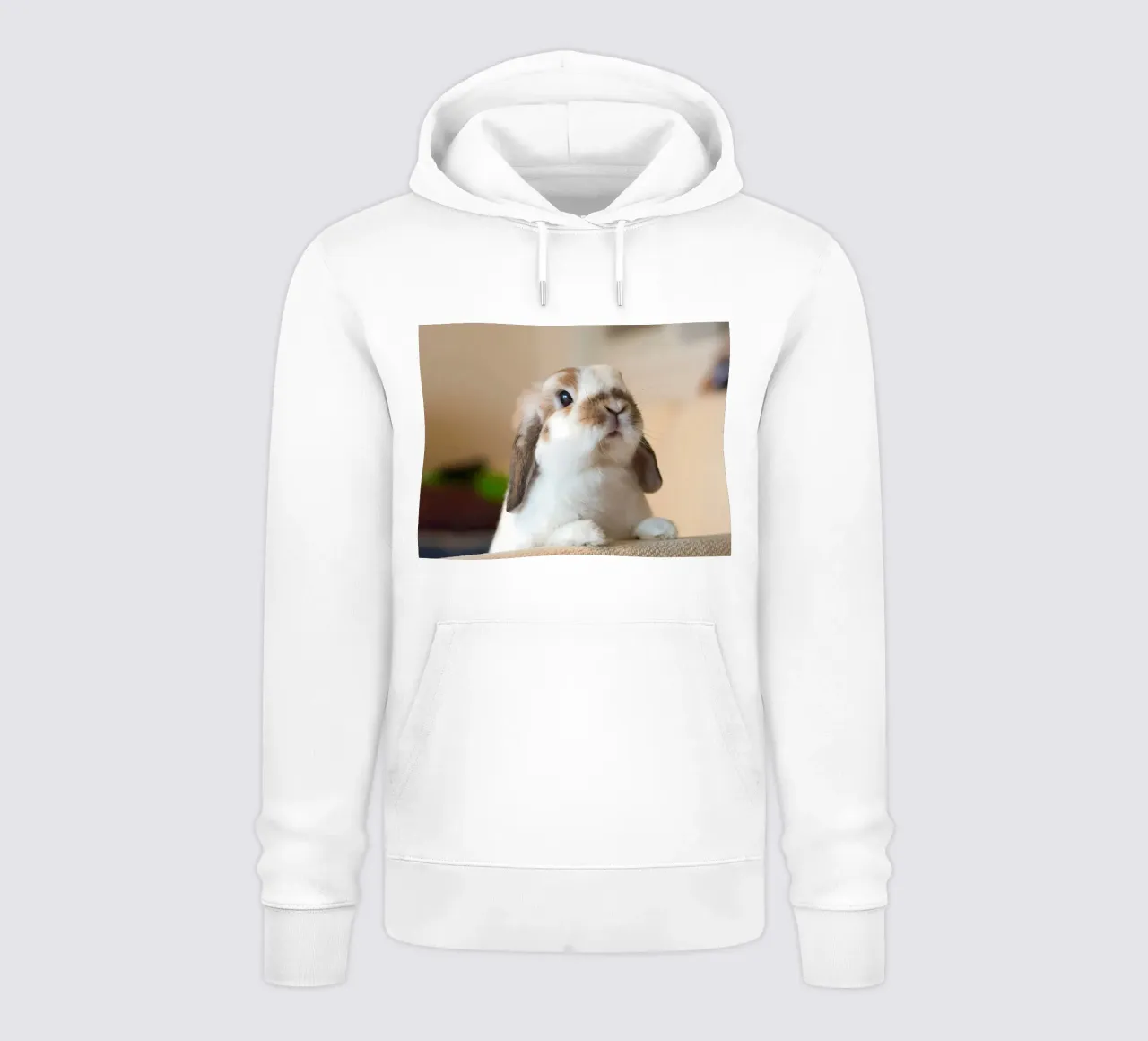 Animal poster 284 hoodie by Korrie Lane