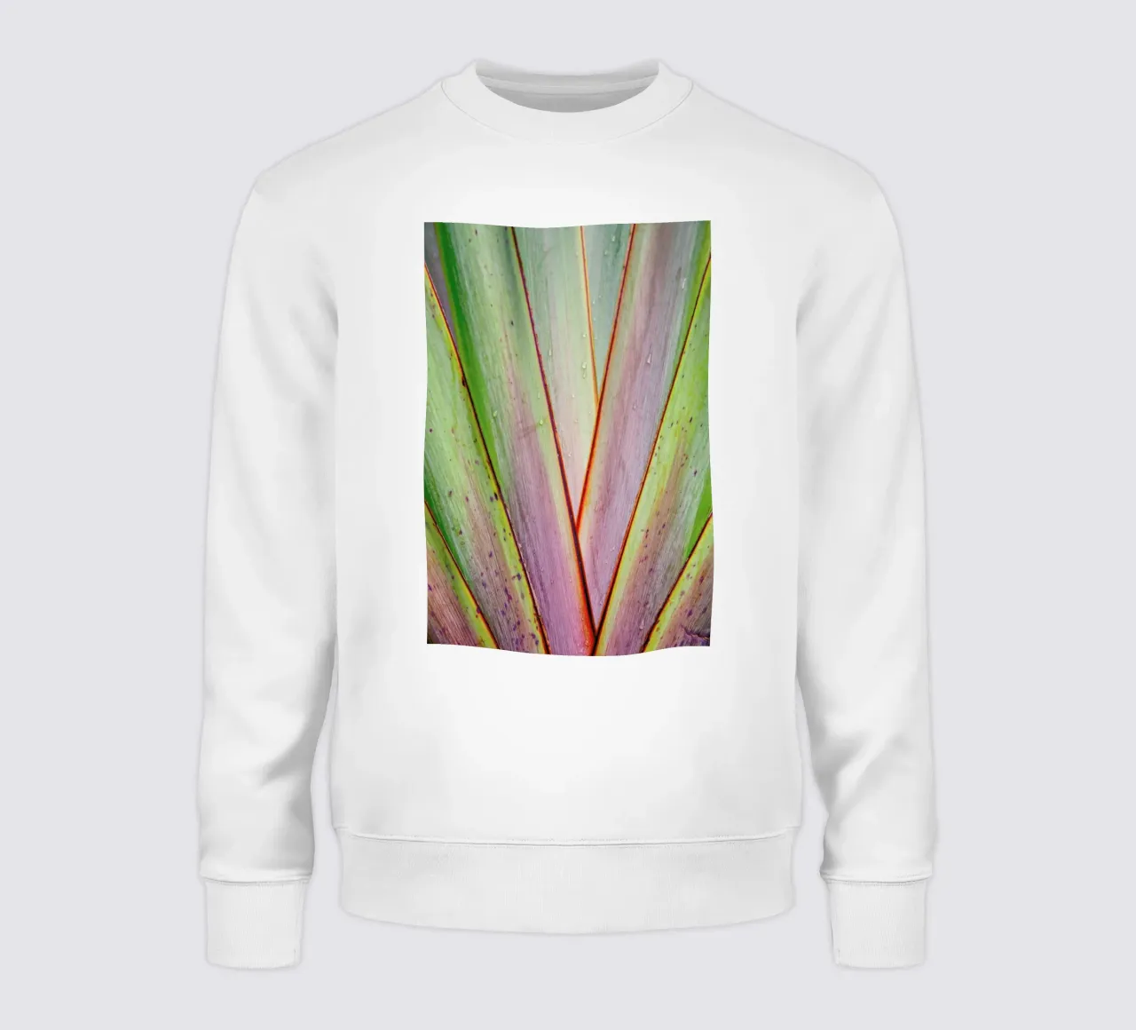 Flax Pattern felpa da Nur Mut