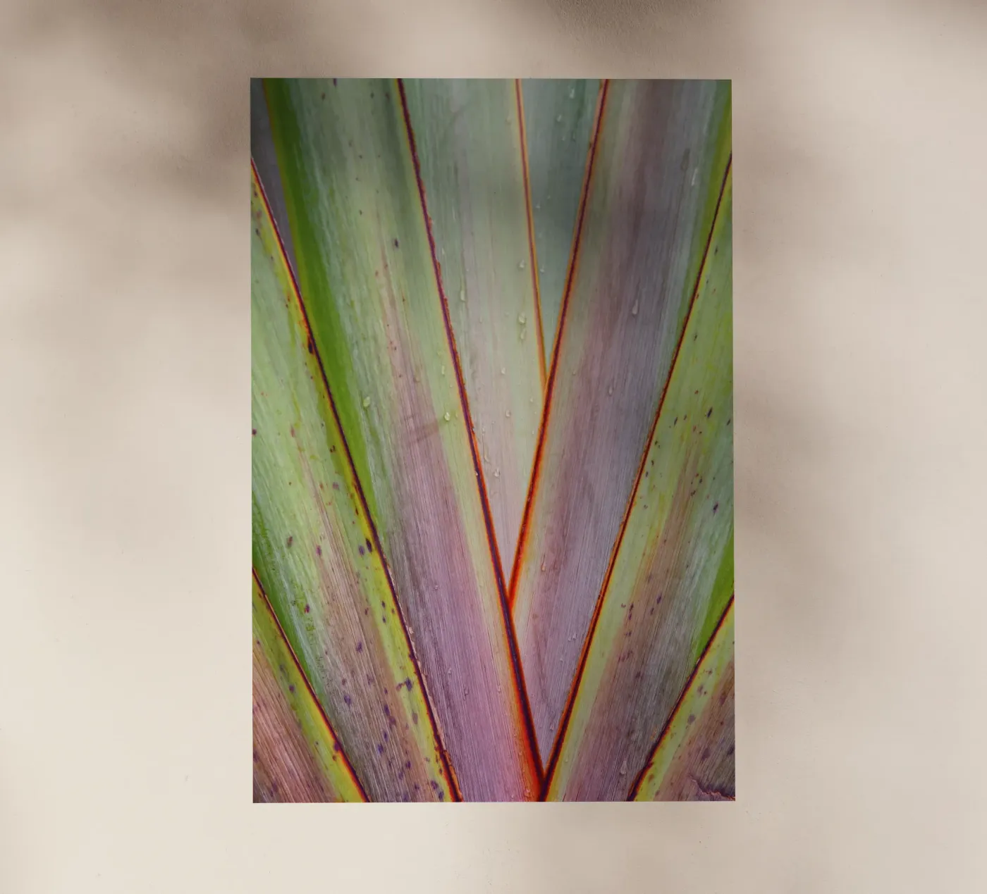 Flax Pattern backlit film by Nur Mut