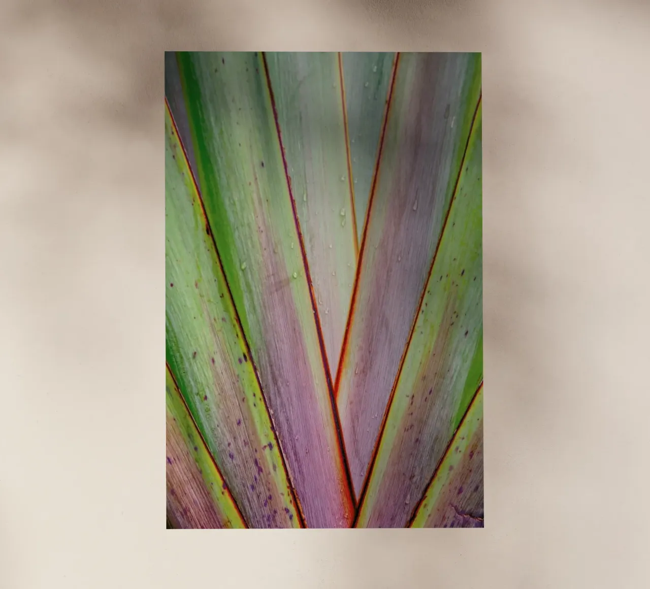 Flax Pattern pellicola backlit da Nur Mut