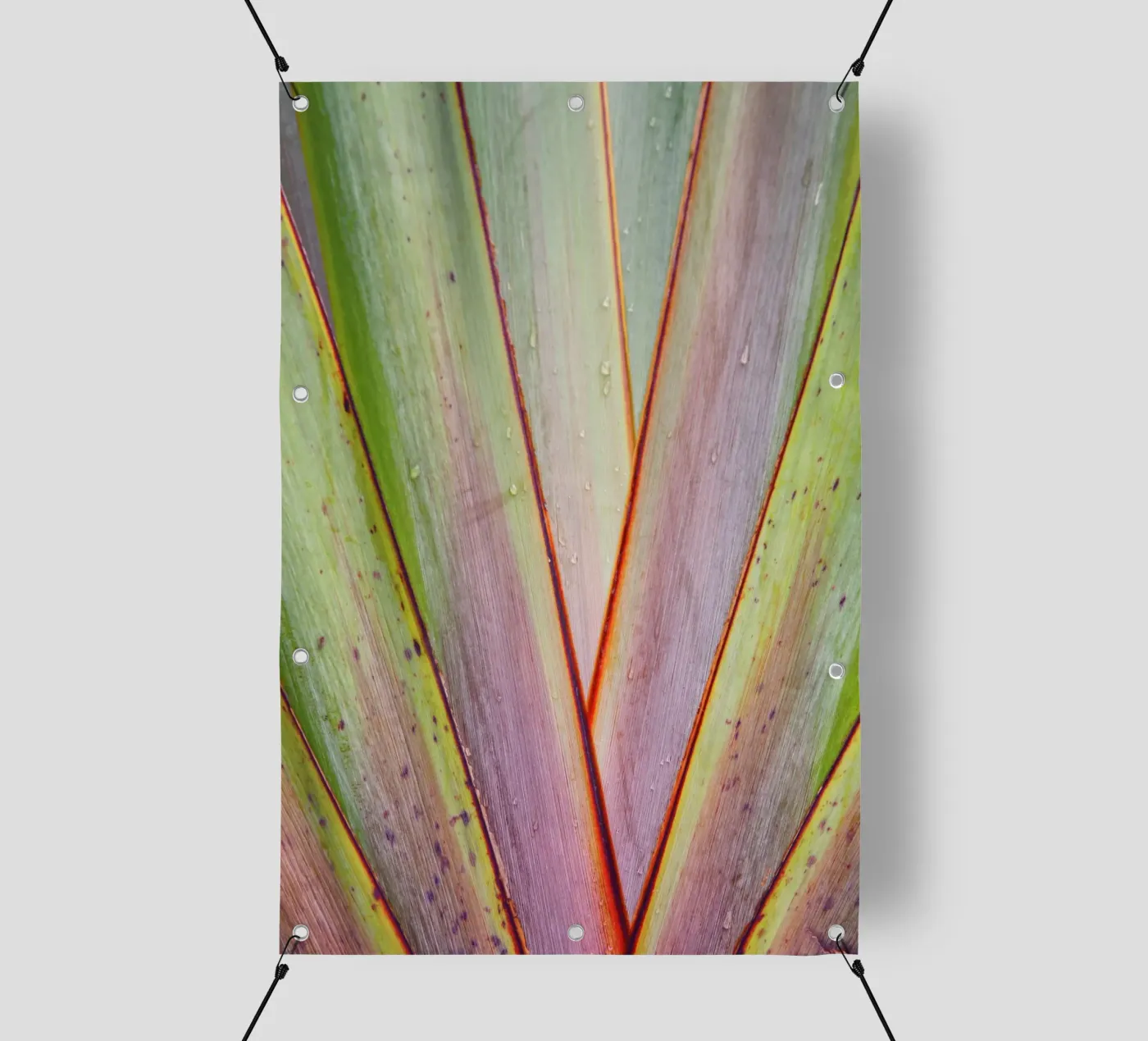 Flax Pattern PVC Plane von Nur Mut