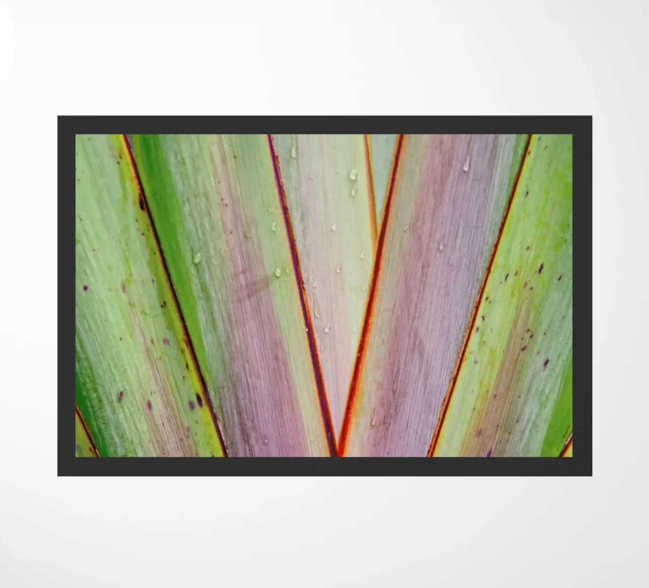 Flax Pattern zerbino da Nur Mut