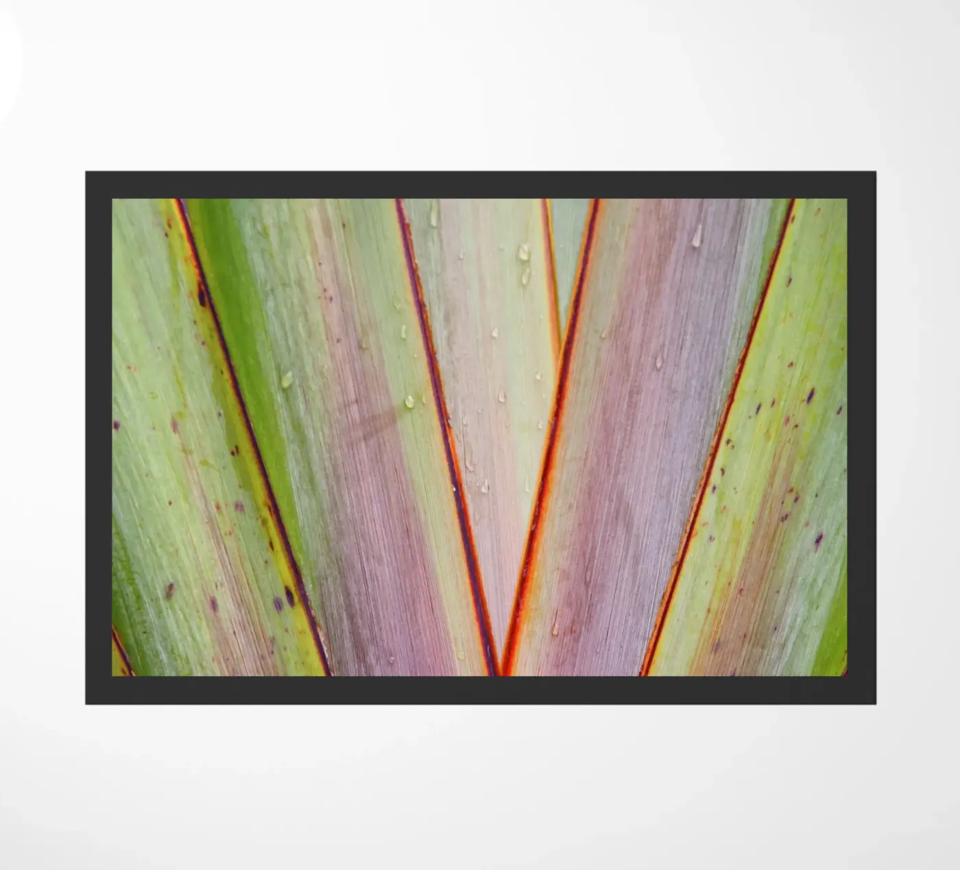 Flax Pattern doormat by Nur Mut