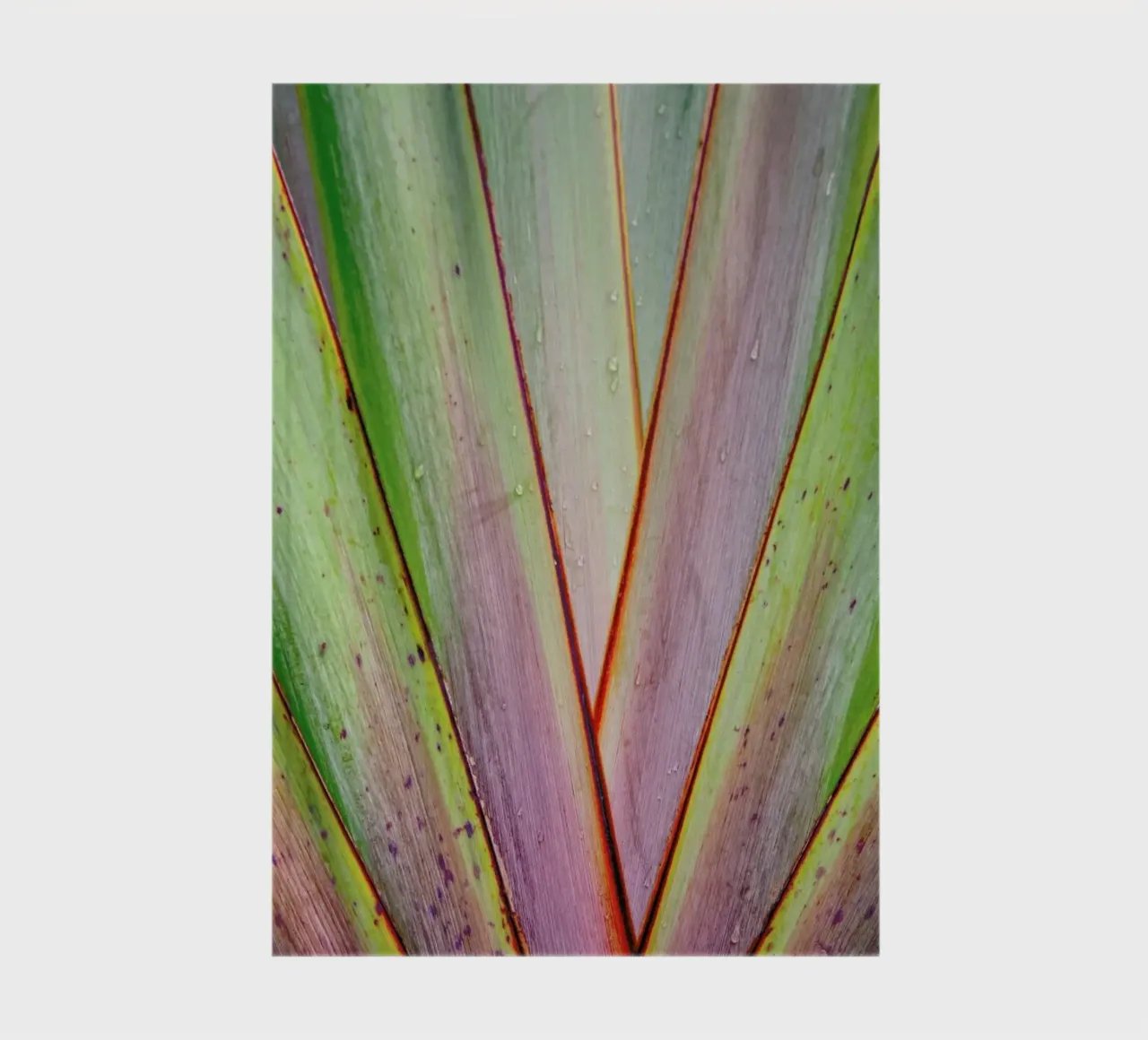 Flax Pattern notebook by Nur Mut