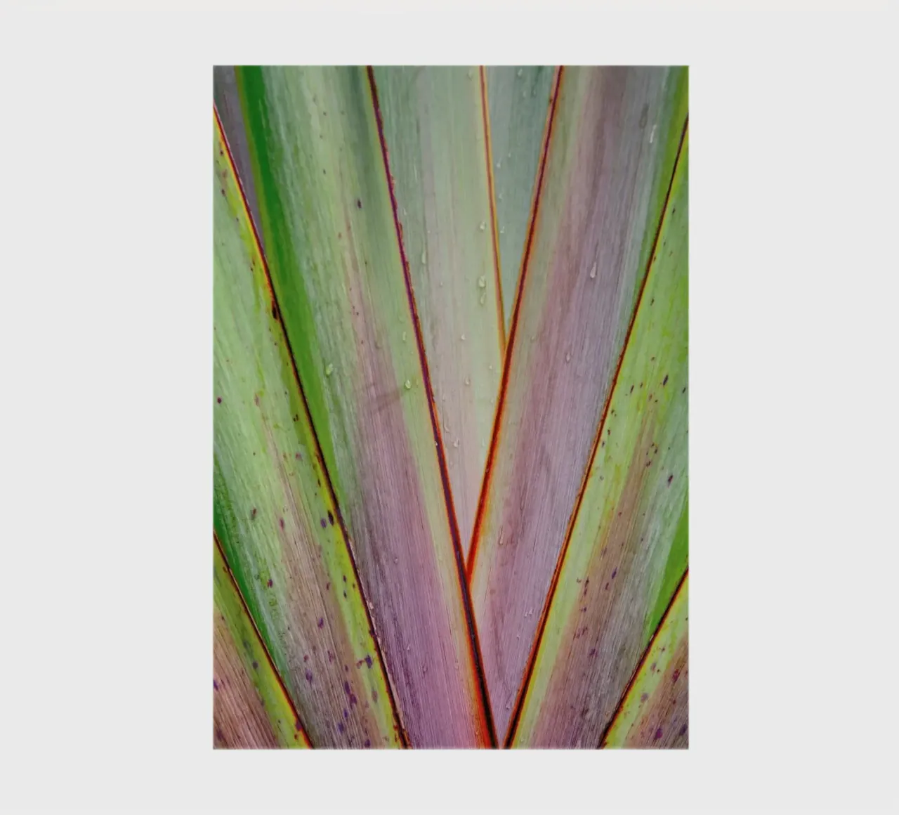 Flax Pattern notebook by Nur Mut