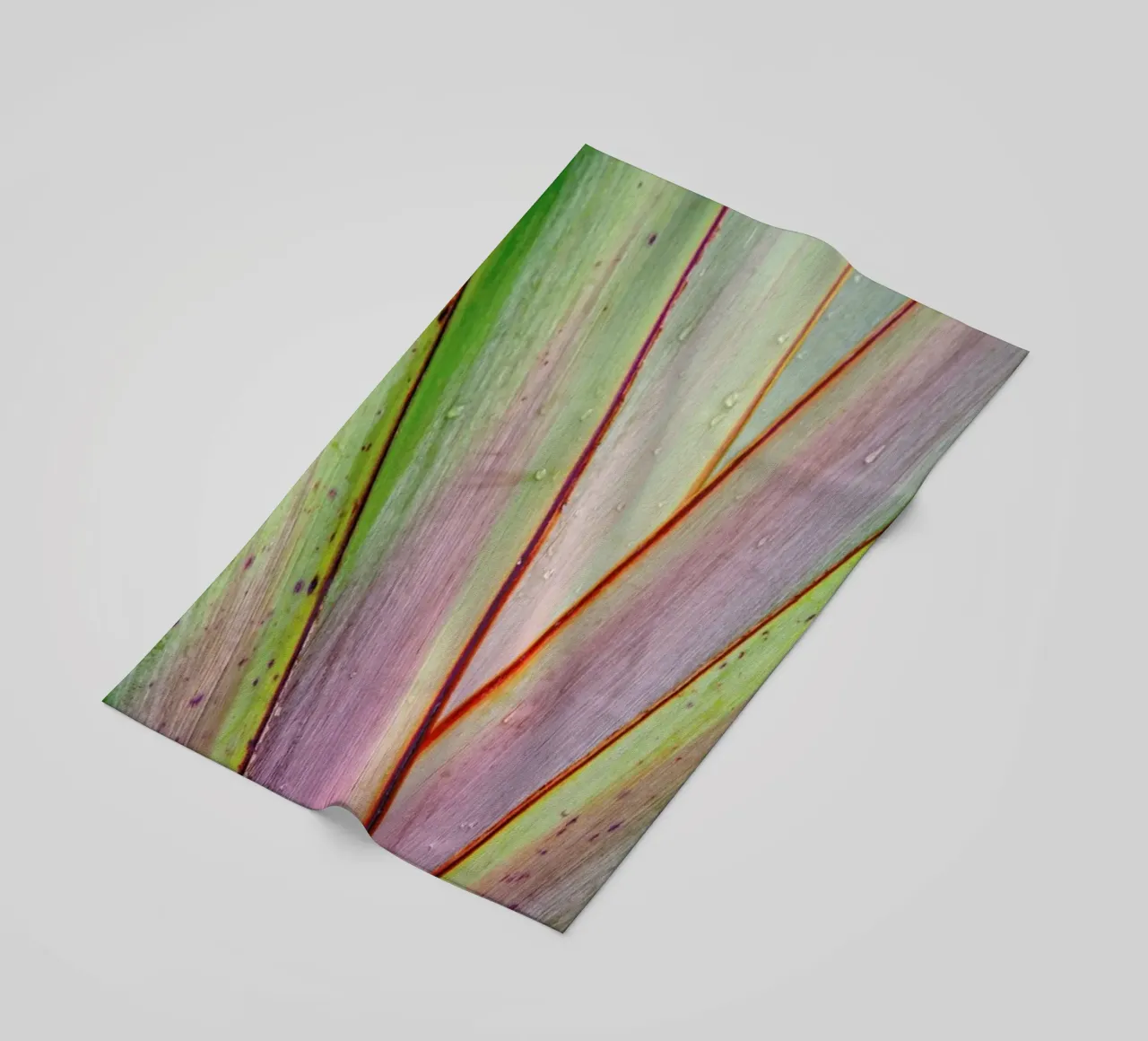 Flax Pattern telo mare da Nur Mut