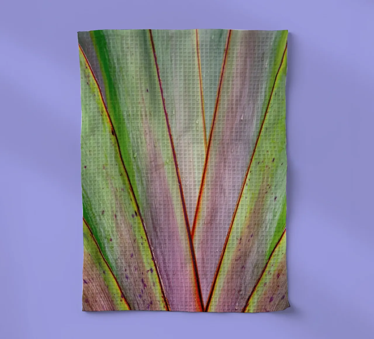 Flax Pattern canovaccio da cucina da Nur Mut