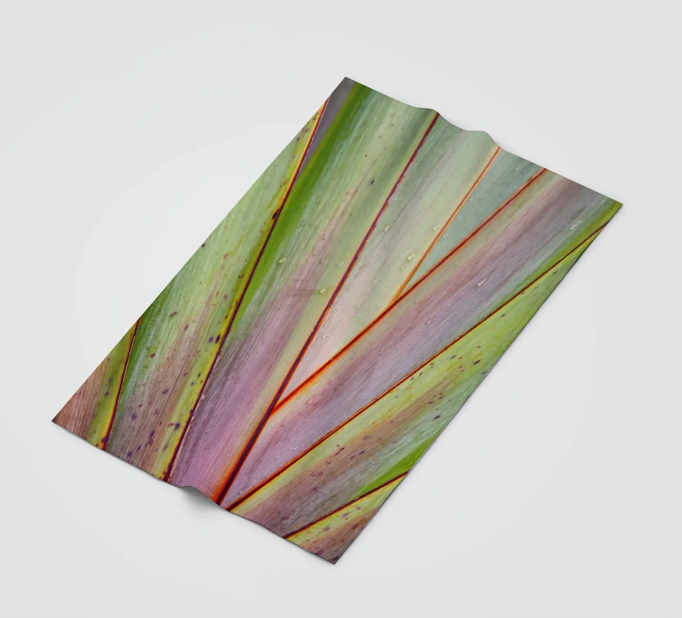 Flax Pattern coperta in pile da Nur Mut