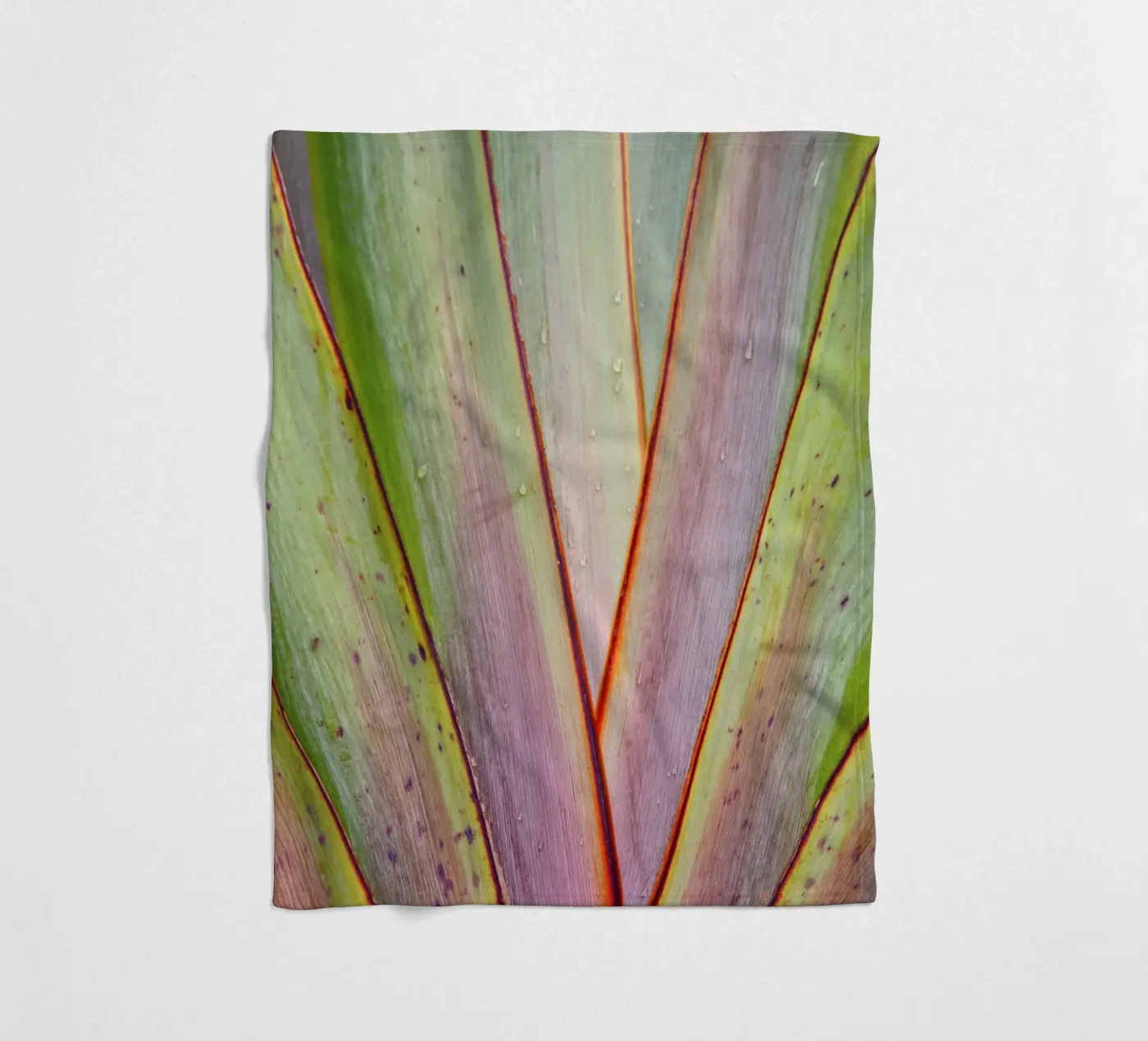 Flax Pattern coperta in pile da Nur Mut