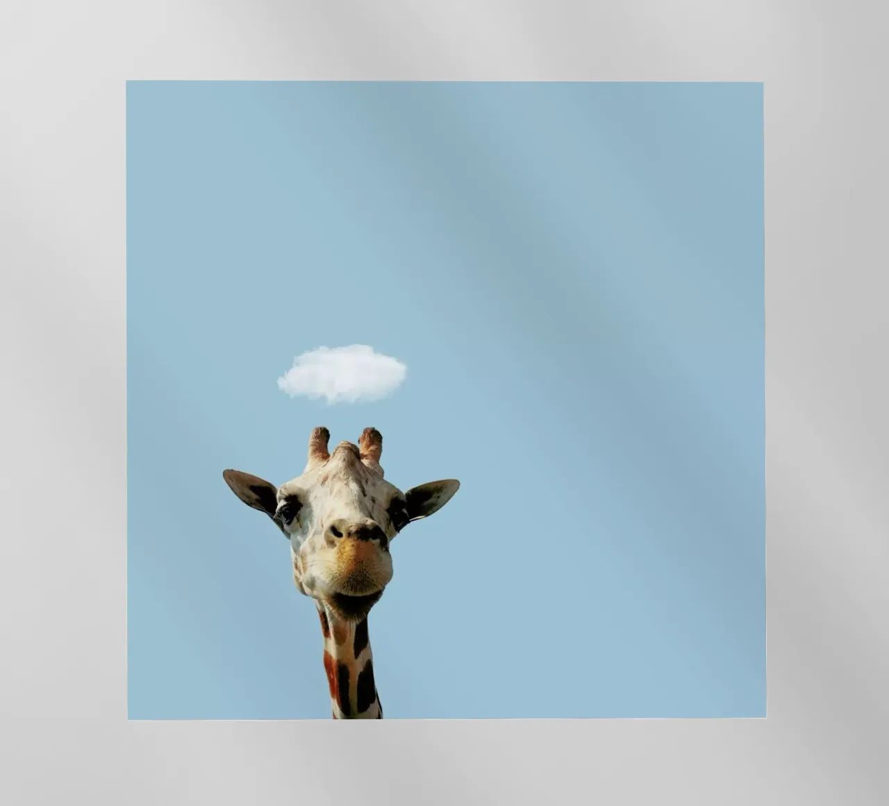 Hello pellicola backlit da Rafael Burato