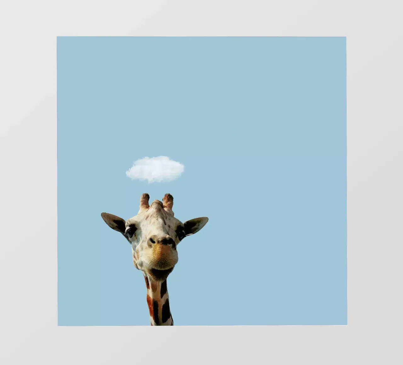 Hello pellicola backlit da Rafael Burato