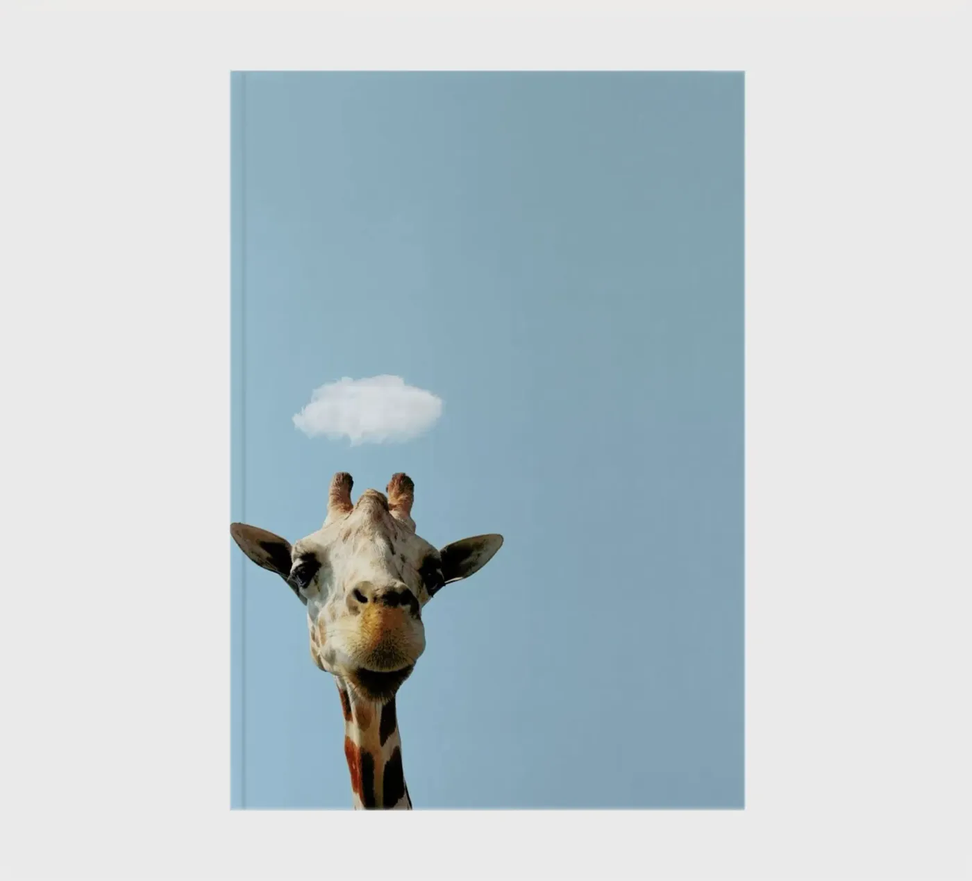 Hello notebook by Rafael Burato