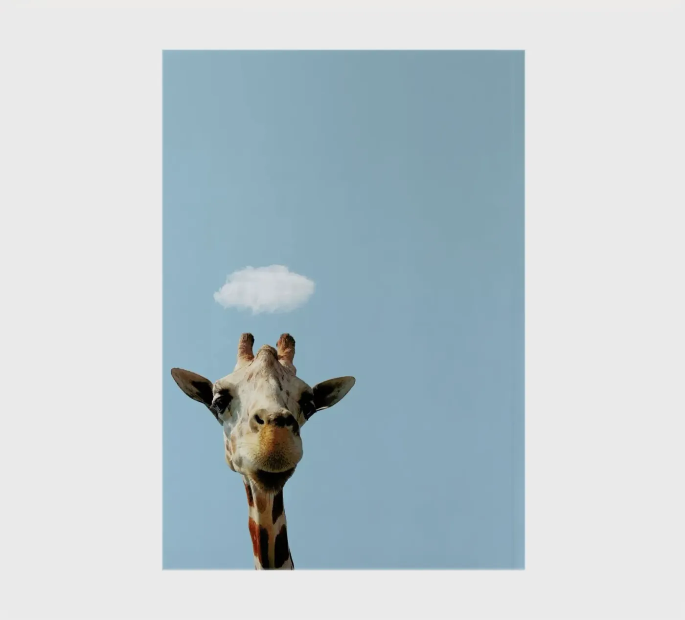 Hello notebook by Rafael Burato