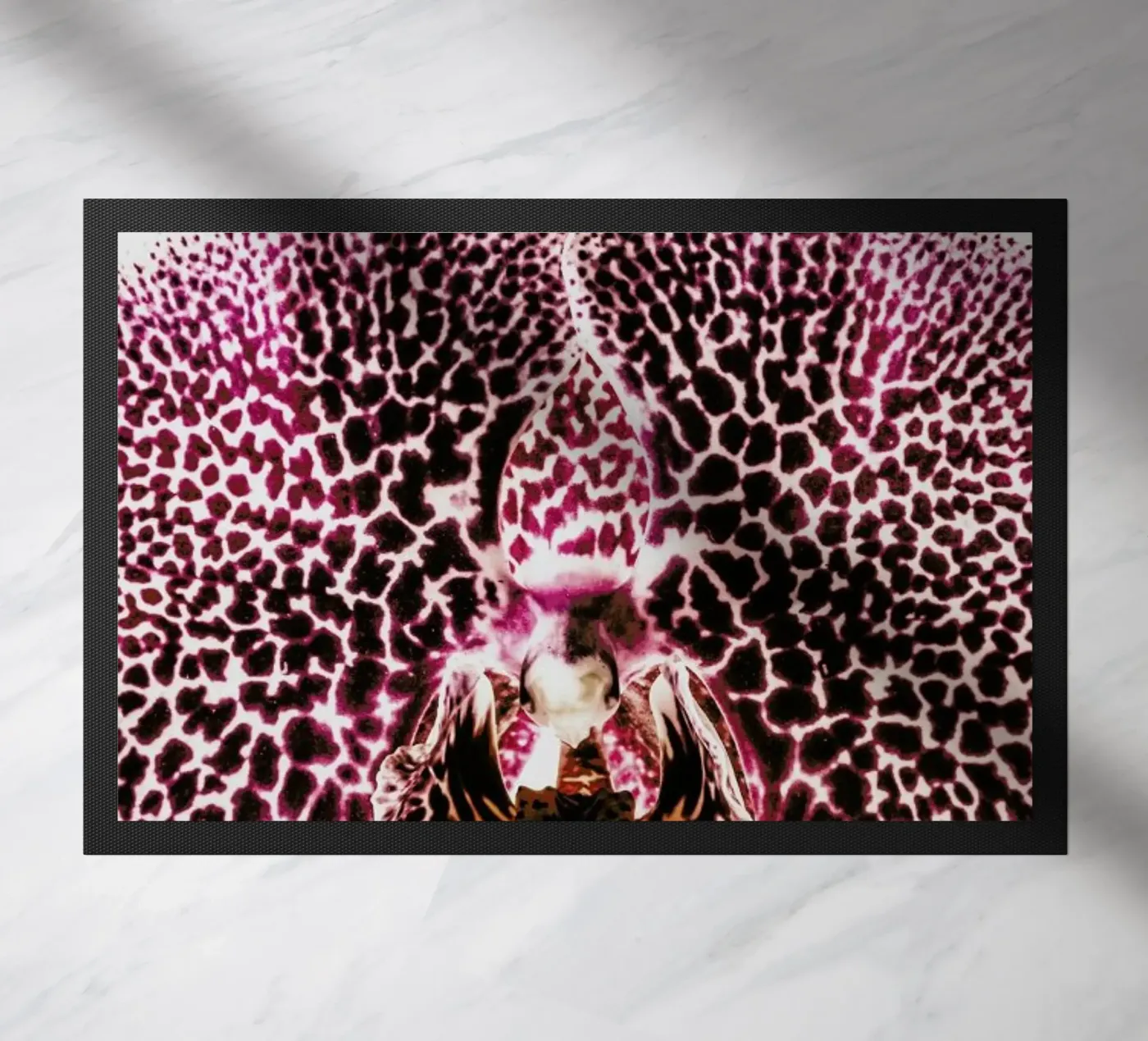 Leopard Orchid zerbino da Shot By Clint