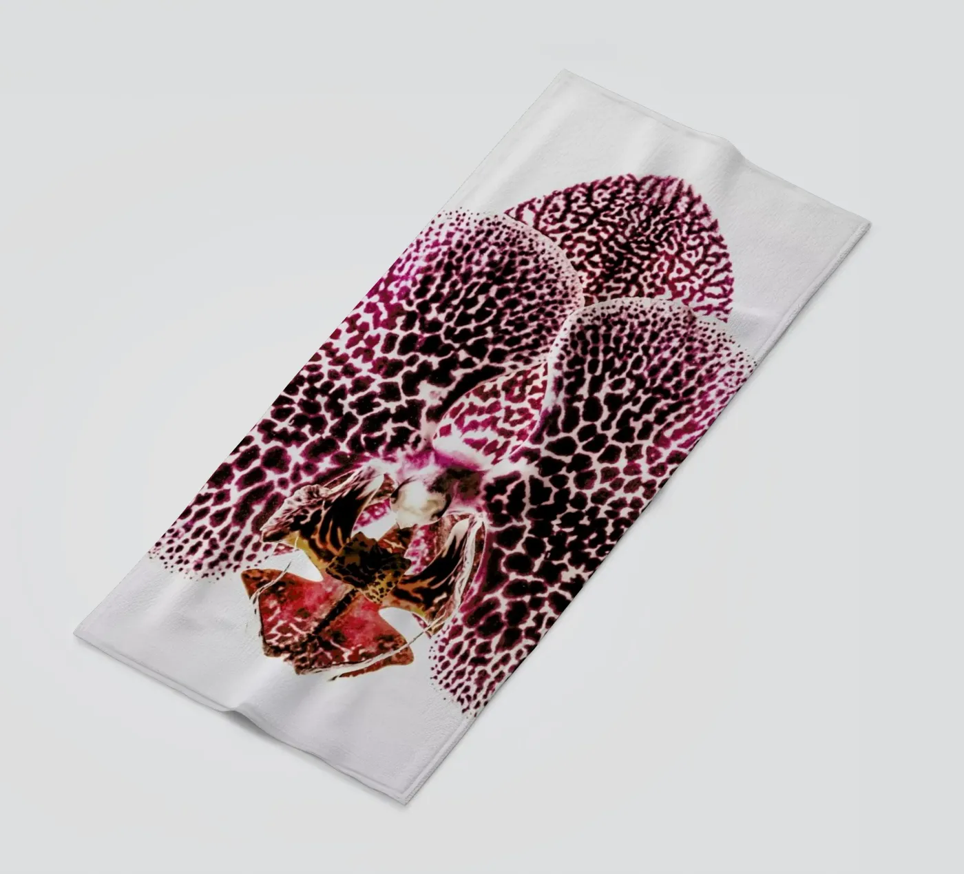 Leopard Orchid telo mare da Shot By Clint