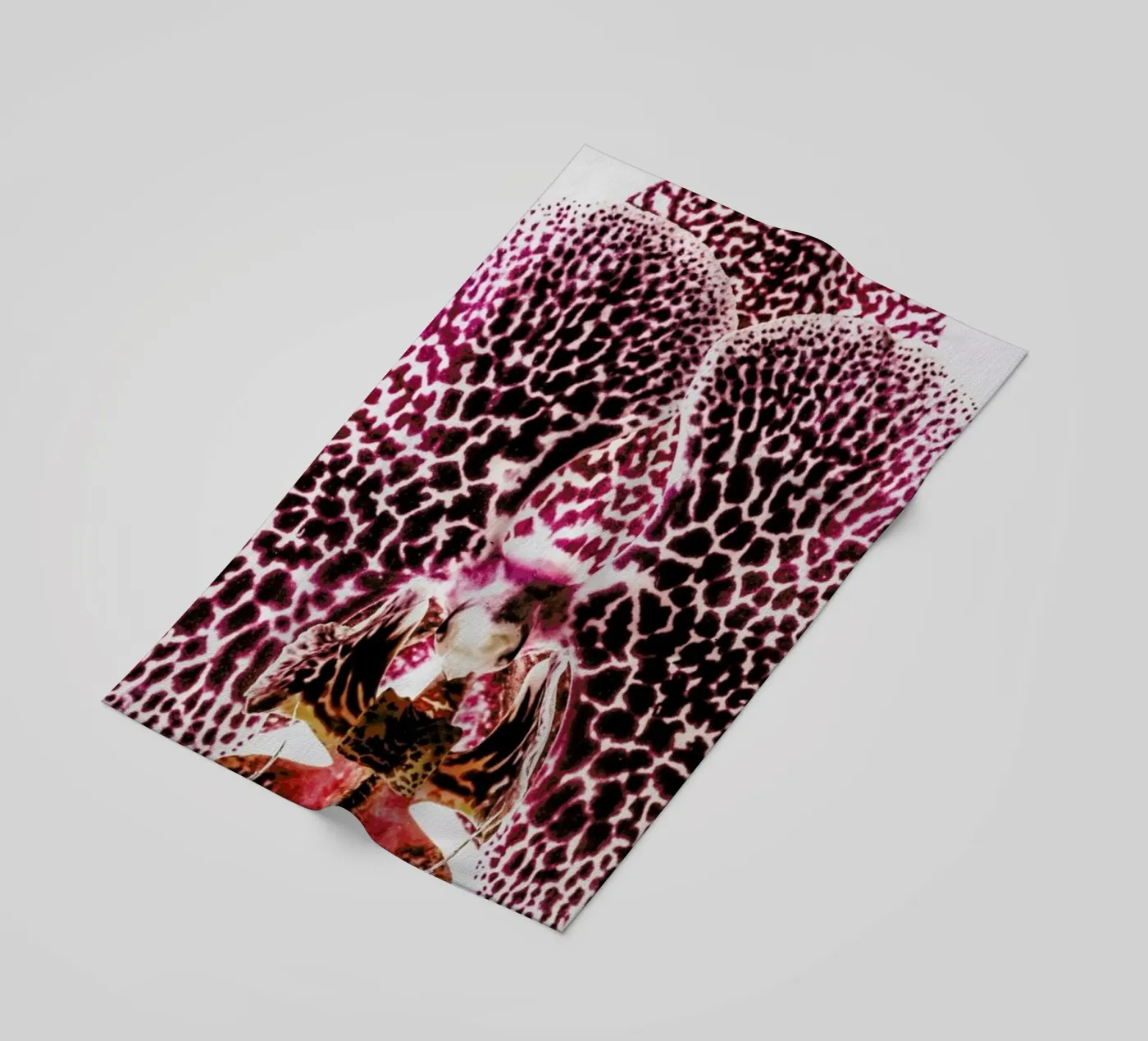 Leopard Orchid telo mare da Shot By Clint