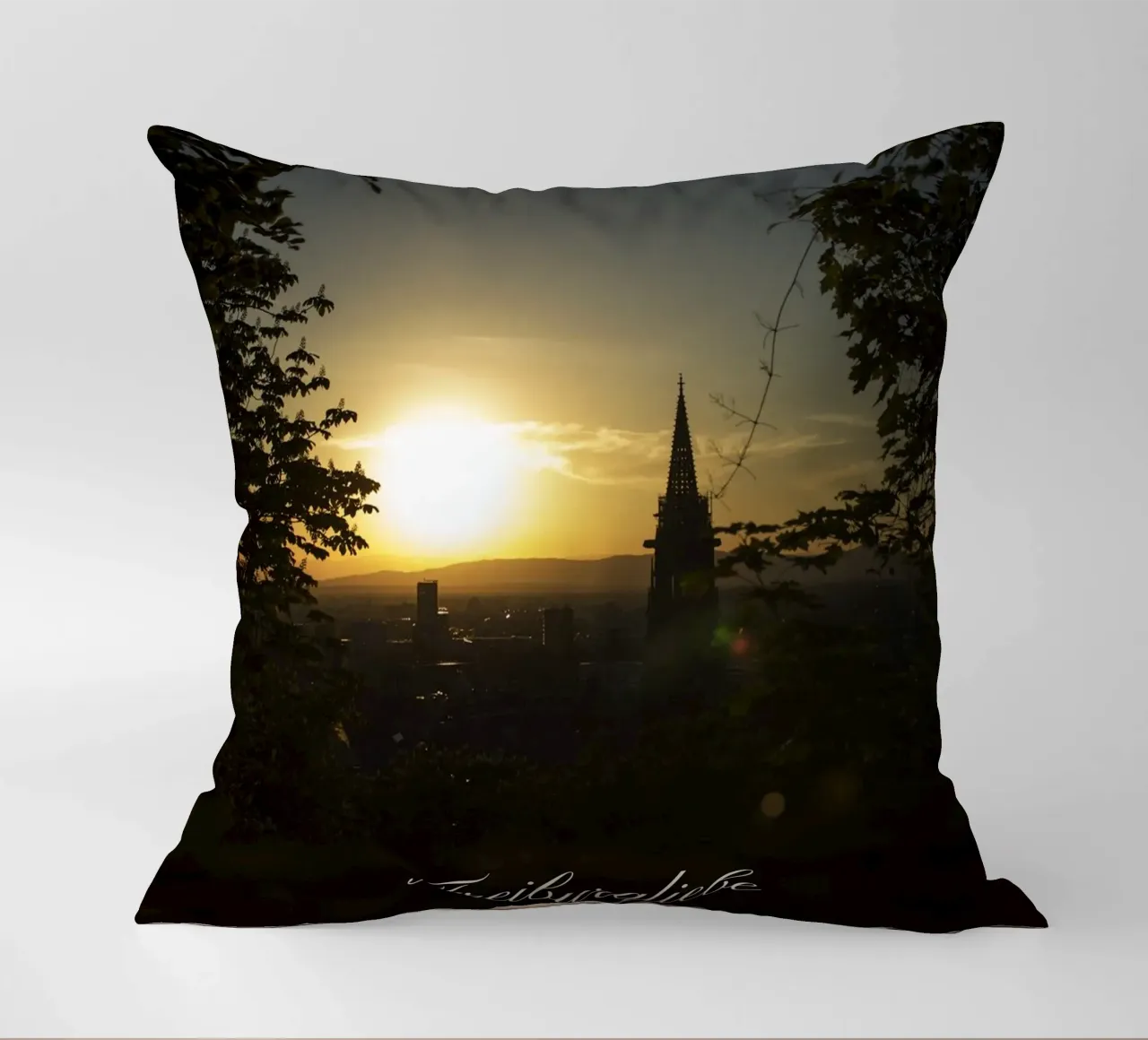 Amore a Friburgo cuscino da corvinamedia.design