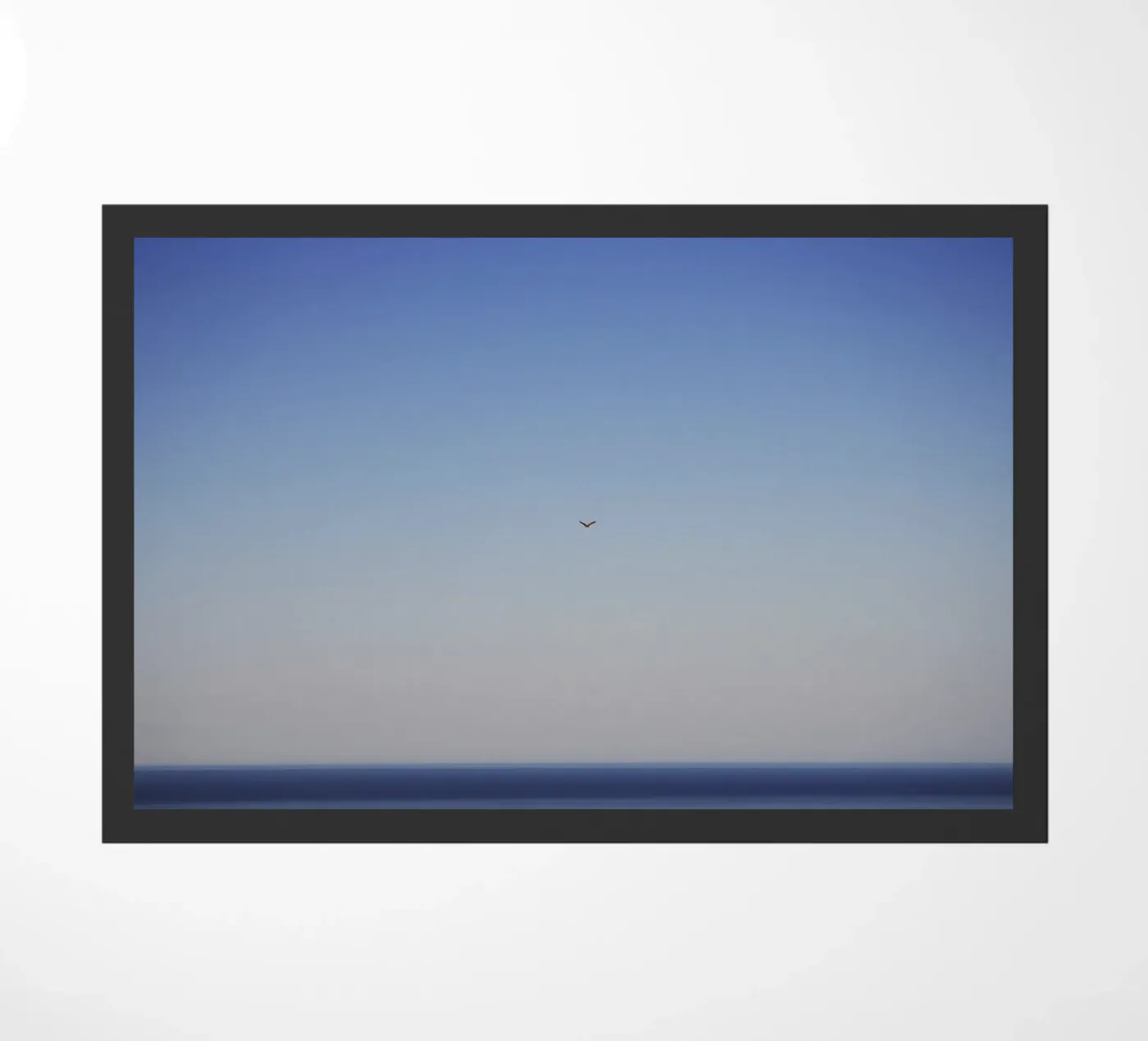 Free Flight doormat by Nur Mut