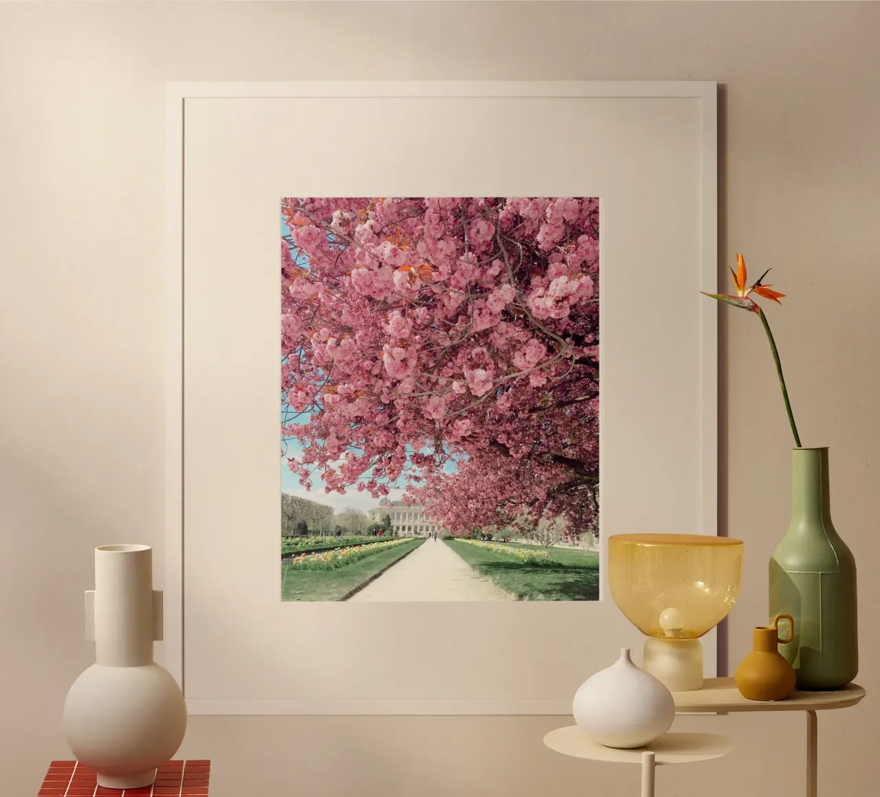 Ciliegio in fiore a Parigi, Jardin des Plantes, Primavera a Parigi poster con telaio in plastica da TheTravelClub