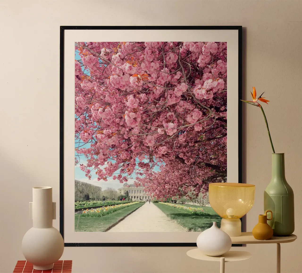 Ciliegio in fiore a Parigi, Jardin des Plantes, Primavera a Parigi poster con telaio in plastica da TheTravelClub