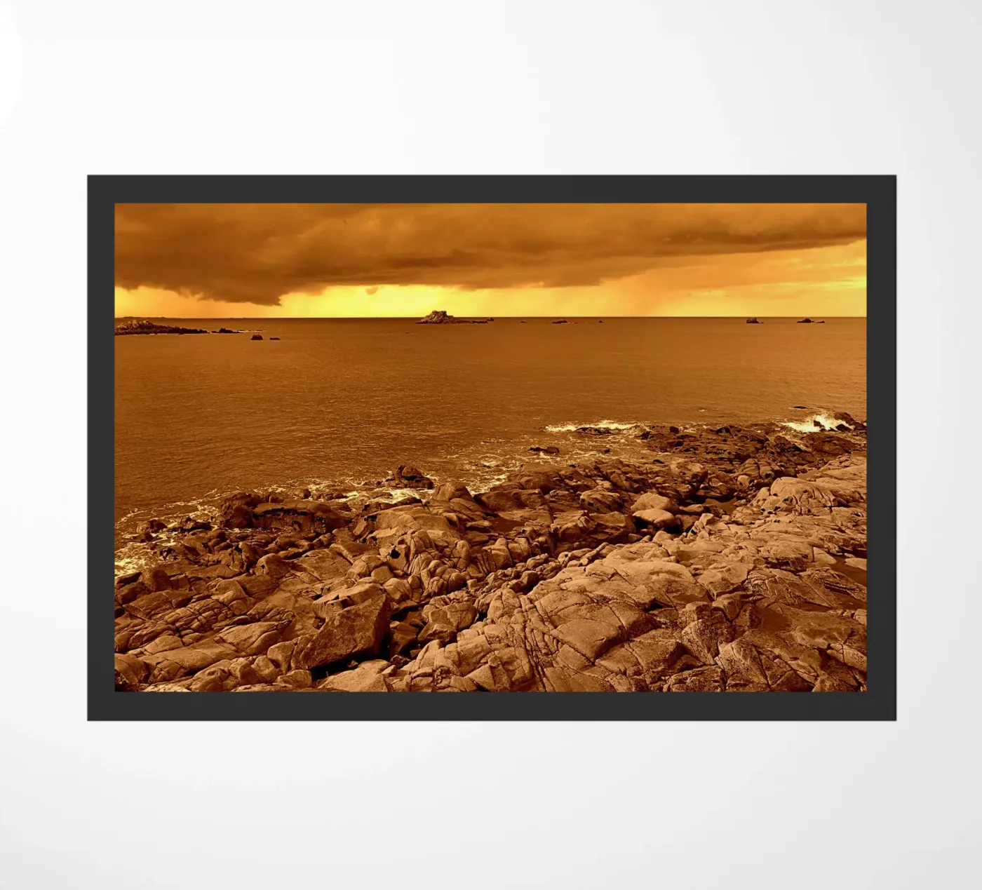 FAA232 zerbino da Thierry vobmann photography