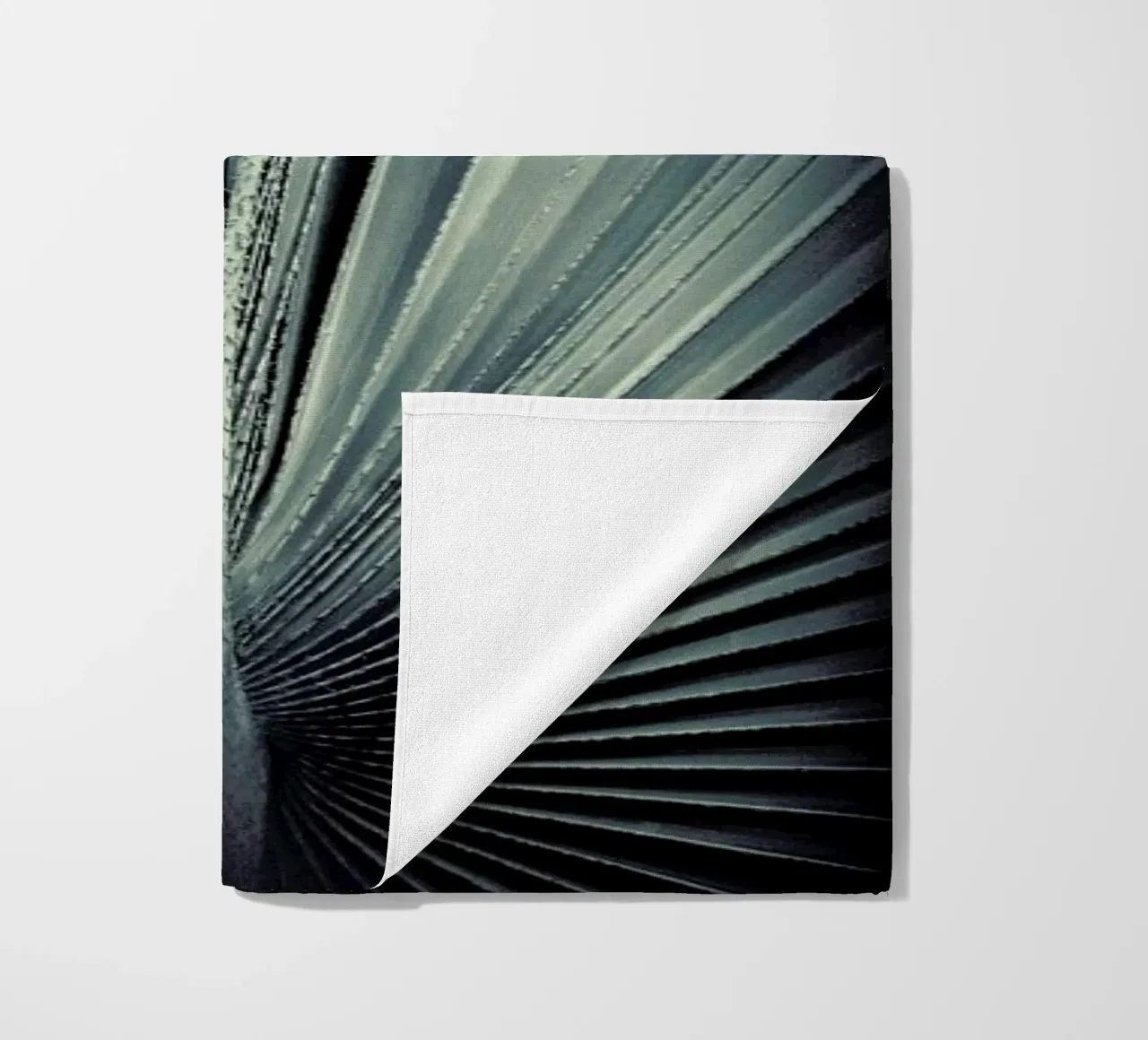 Palms-1846 telo mare da Chris Abatzis