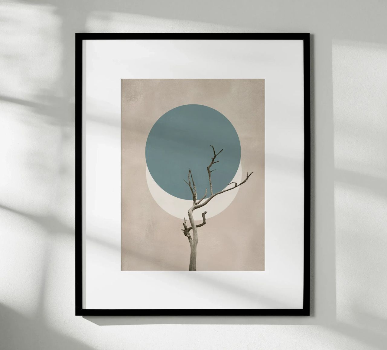 La nature en cercles poster de Carinaprint