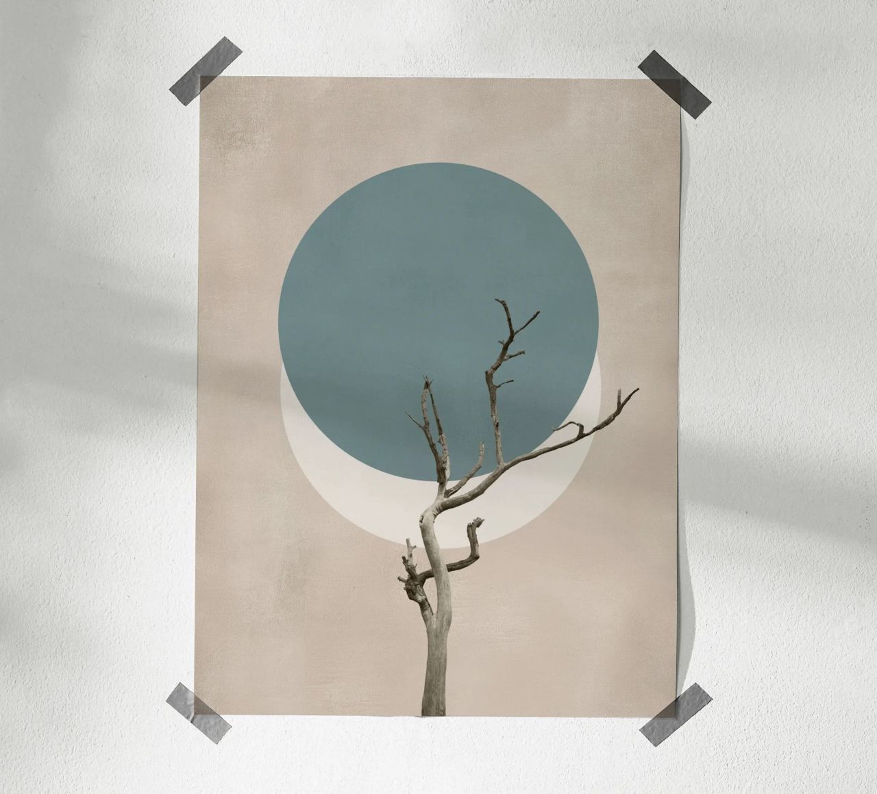 La nature en cercles poster de Carinaprint