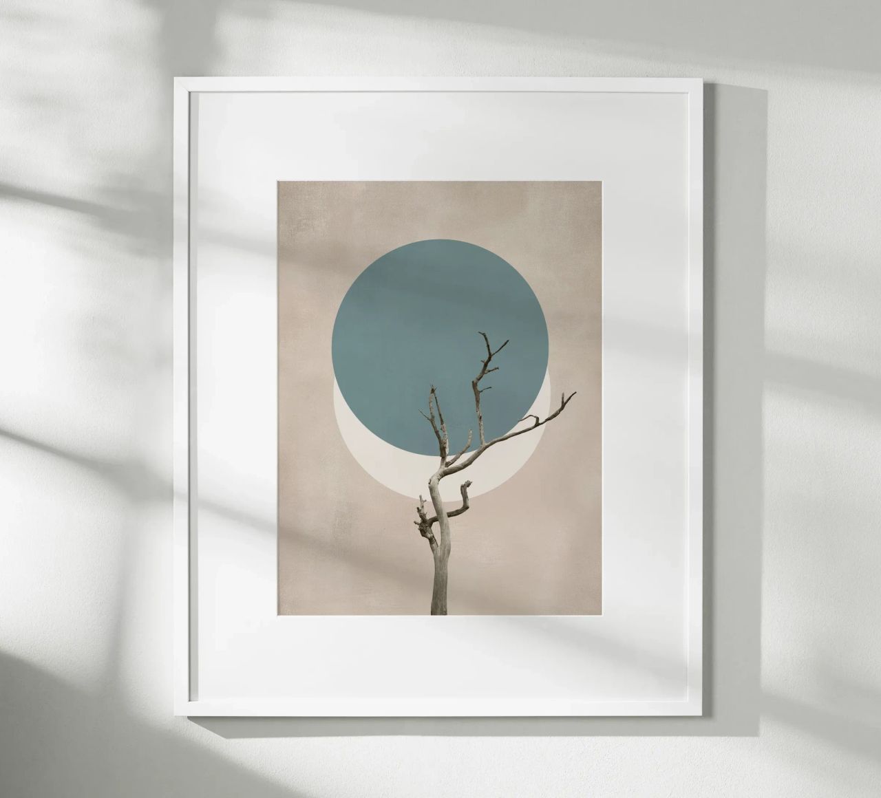La nature en cercles poster de Carinaprint