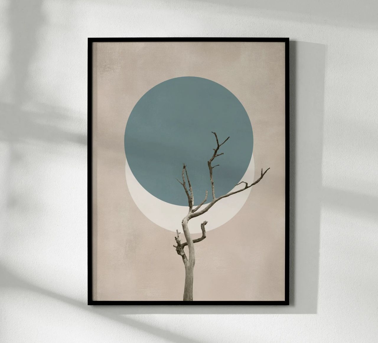 La nature en cercles poster de Carinaprint