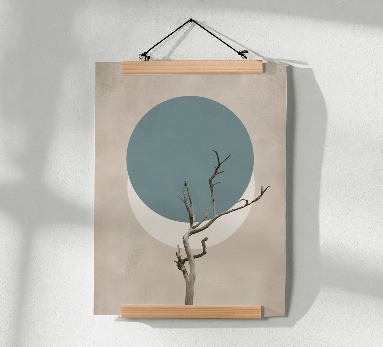 La nature en cercles poster de Carinaprint
