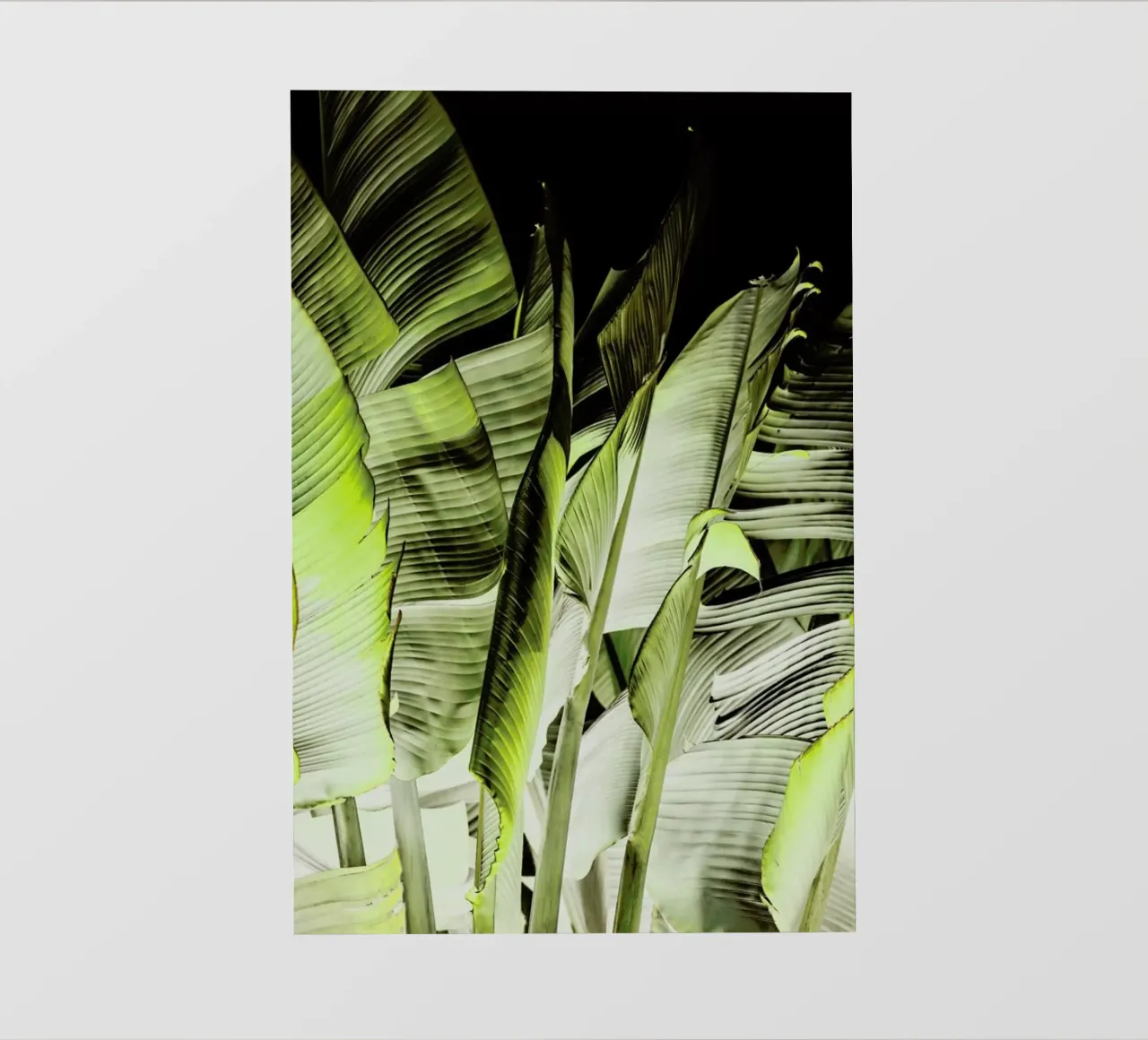 Traveller's Palm telo in pvc da Shot By Clint